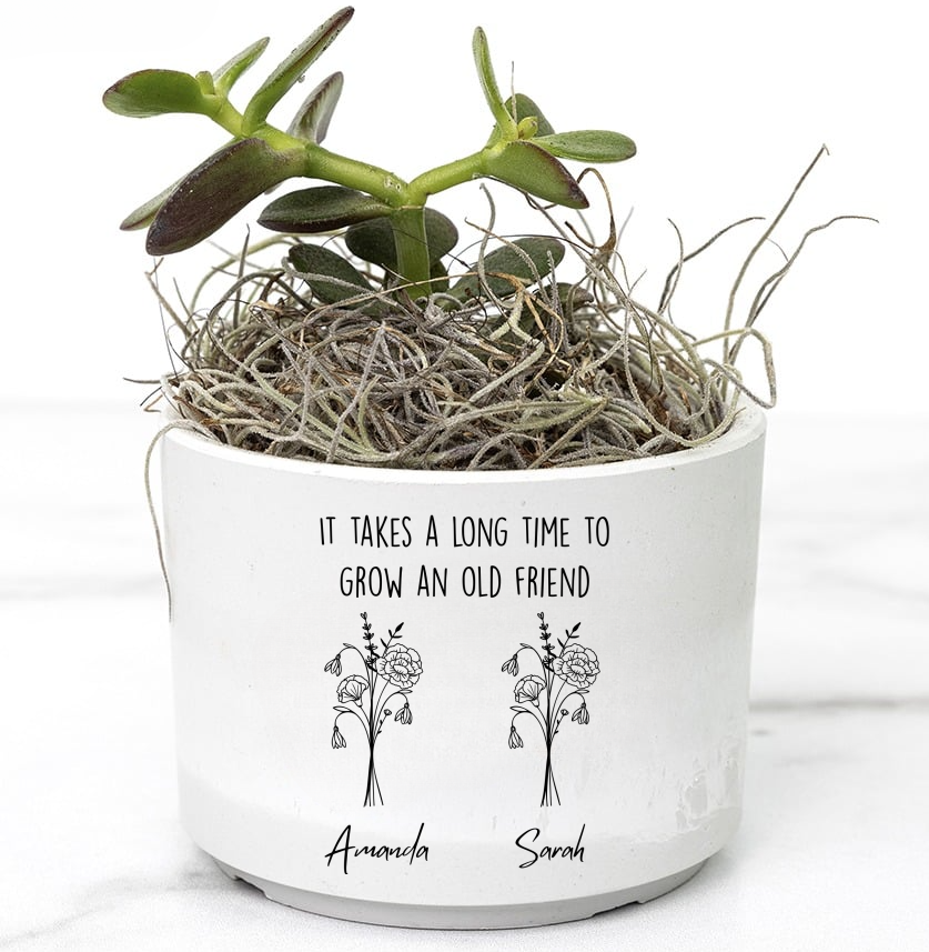 Personalized Birth Flower And Name Friend Desk Plant