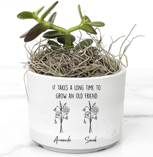 Personalized Birth Flower And Name Friend Desk Plant